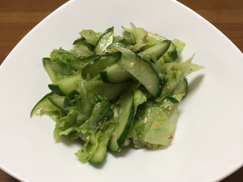 胡瓜とレタスの胡麻バジルサラダ
